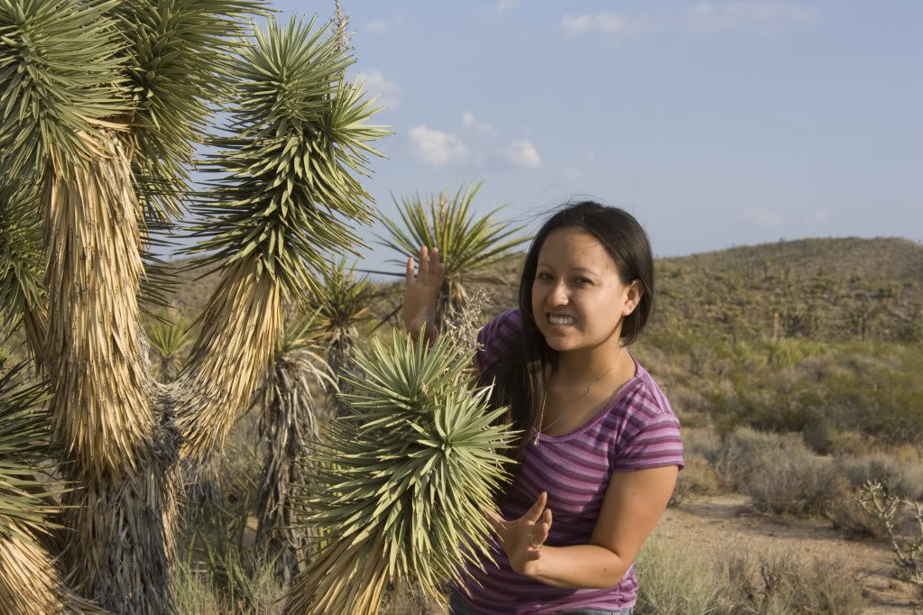 Mojave-Run_09162011_105_c345eae4c02bf08015a9378058ba2ef04d0c5c72.jpg