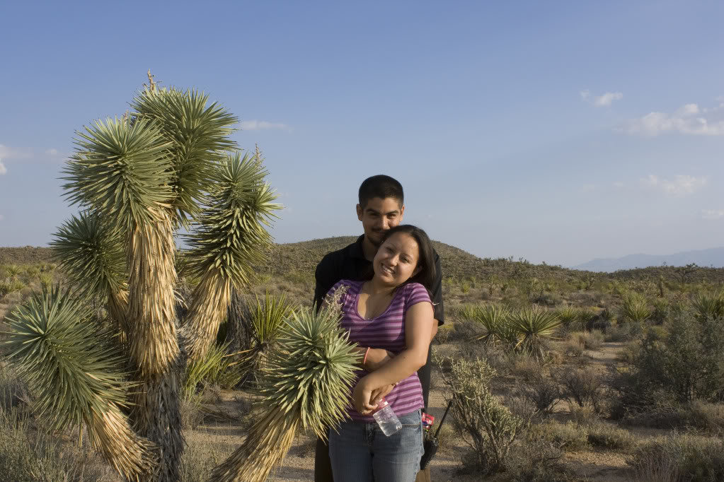 Mojave-Run_09162011_108_c2650bd0e413364283e548eb224ab9331066690d.jpg
