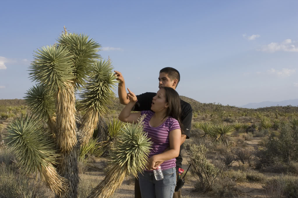 Mojave-Run_09162011_109_2be2c797e128bd56bf95ebf47473b077234aa27c.jpg