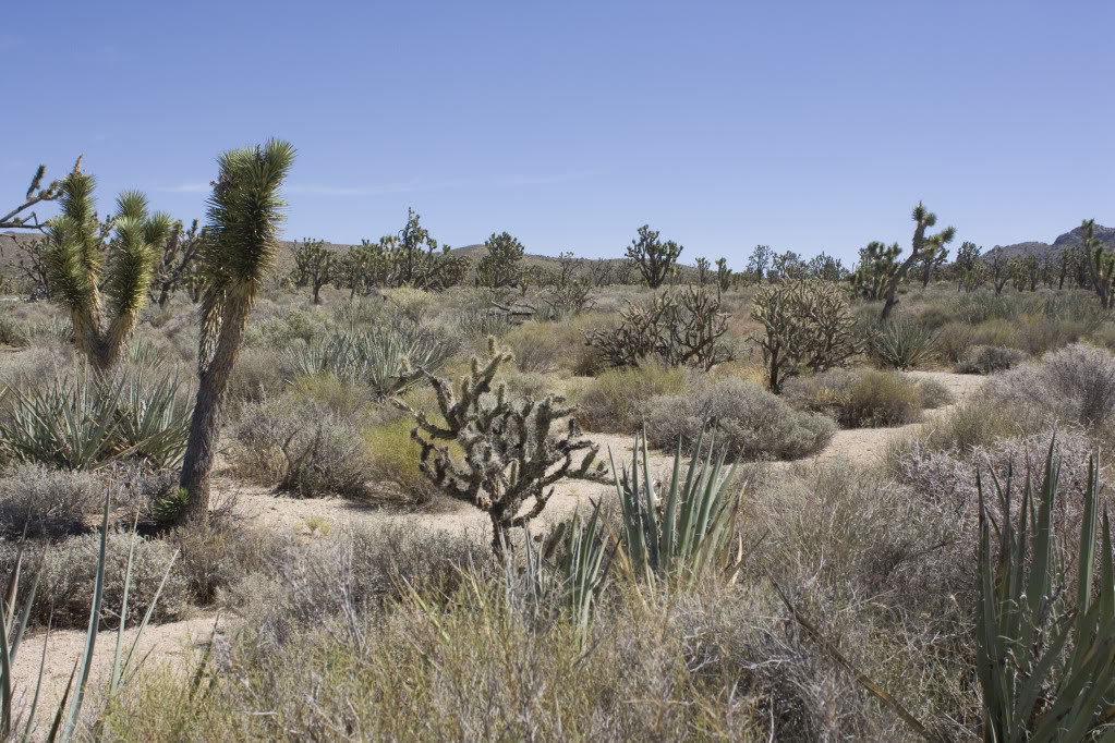 Mojave-Run_09172011_230_1f054ffe69eebf7ee278890fa05d5ccd6414995b.jpg