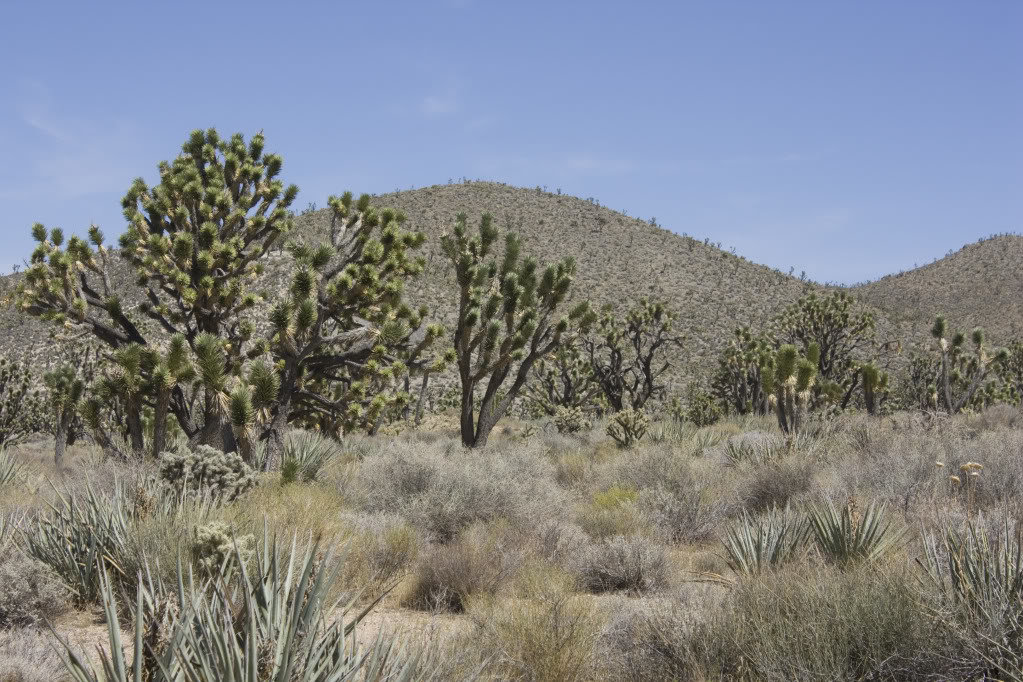 Mojave-Run_09172011_231_38b5da647e4d8944cad9c470458aca0ec9ee6d3c.jpg