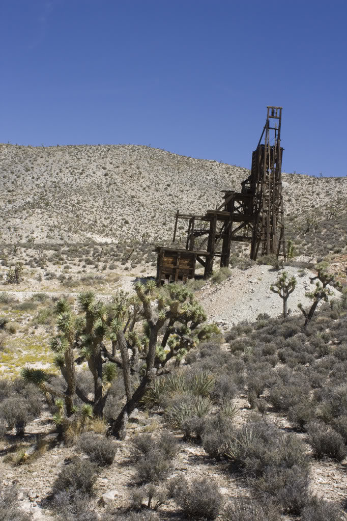 Mojave-Run_09172011_234_02889c4303733b6f37781d8c58090347a93c44a7.jpg