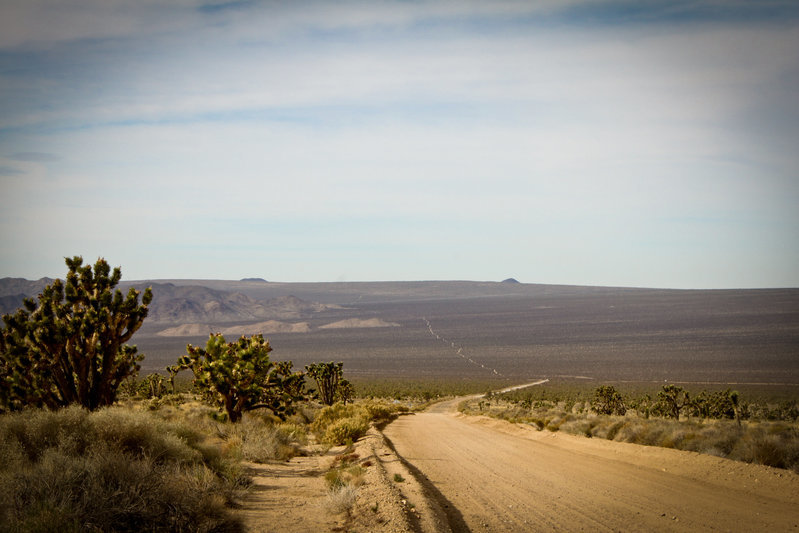 Mojave16-3164.jpg