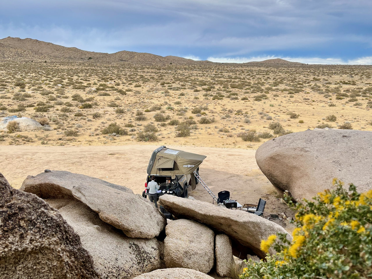 Mojave5.jpg