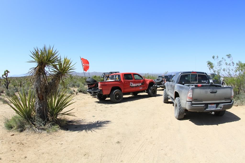mojave_16_84d93c1f78d38fb1e2f9993e33357868aa70dcc7.jpg