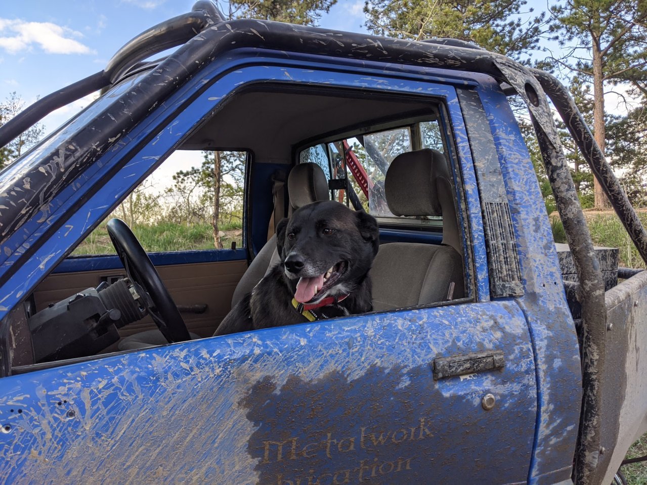 molly blue truck.jpg