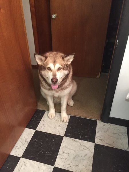 Molly.jpg