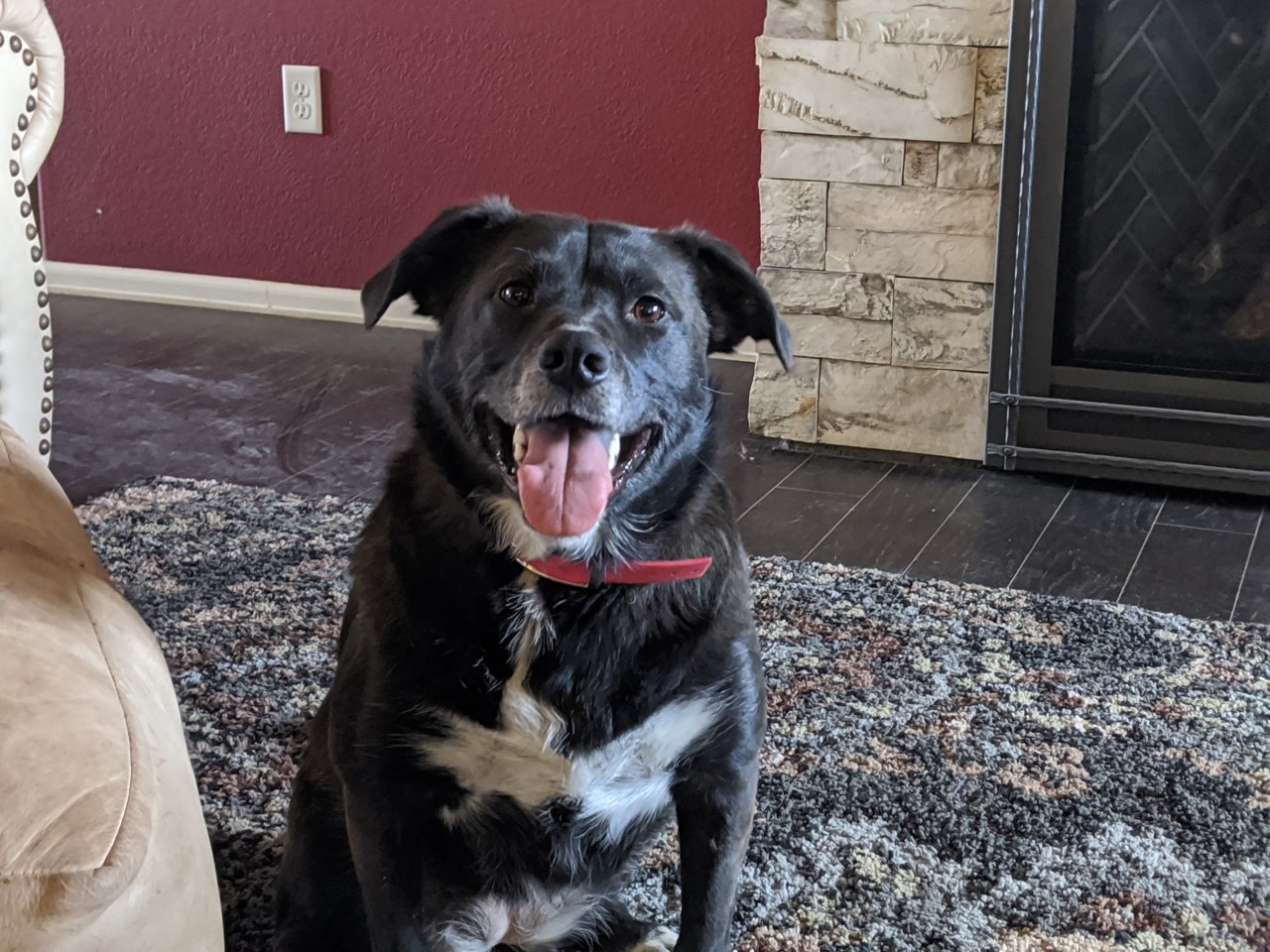 molly.jpg