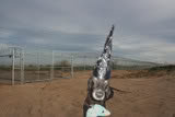MOLLY-UFO-2_c68eda5492a533a1e0b442e979bd8bba06760d85.jpg