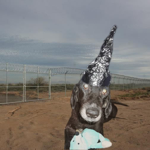 MOLLY-UFO-3_0b6d5b0a55c7ddc27d4a91adac3cbc551d000dbb.jpg