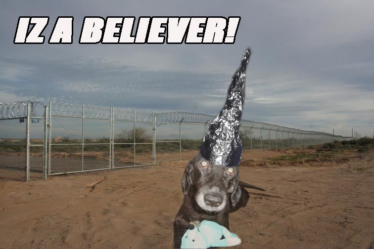 MOLLY-UFO_9408b32196ecaf4c94acd5c88cce50975b41f53c.jpg