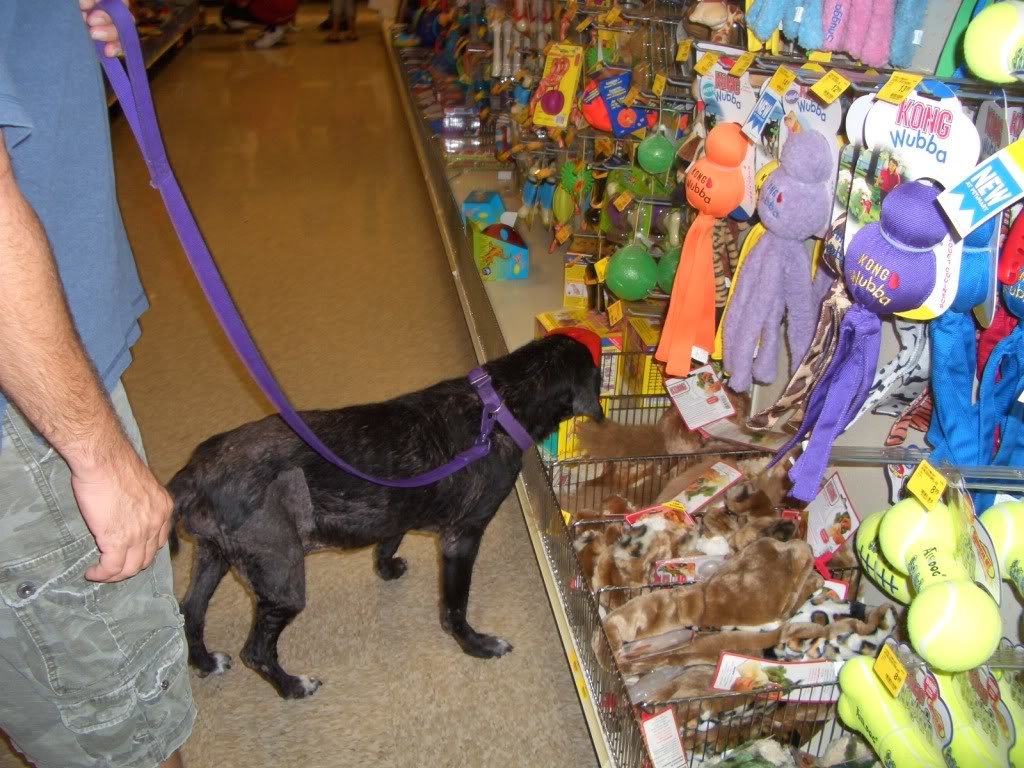 Molly003_a248312747caeb1b38fc7df3305f240535701c0f.jpg