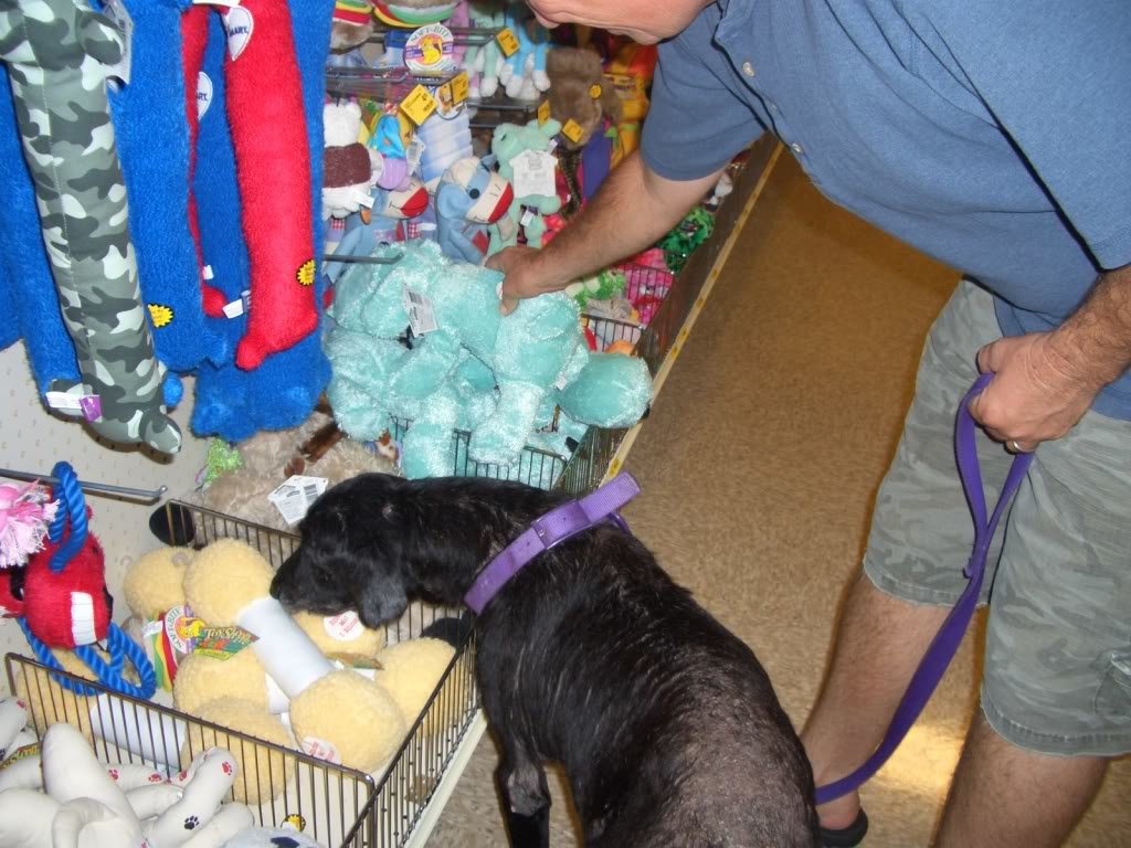 Molly004_b3bbc6bd59967ca0afdd209e367a862f7ea8b8ff.jpg