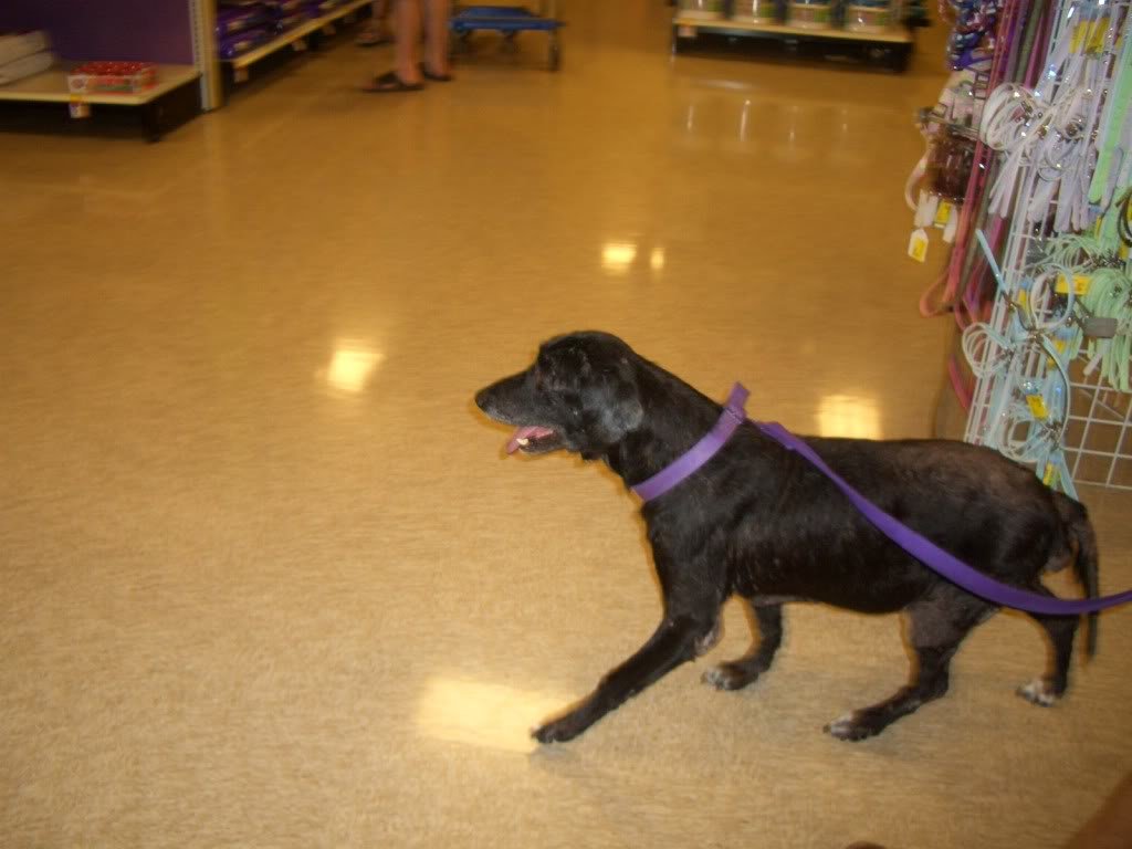 Molly006-1_e7d6b894bd4dcde639aa2946ff5d205f1e1f97e8.jpg