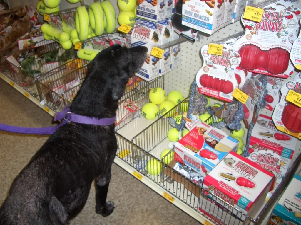Molly007_47cc899ed912e71d2ebf8cfe517ca9a342676fd2.jpg