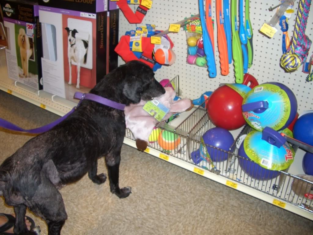 Molly014_d6249d2eeffd9a188a1304698131495e1310caf4.jpg