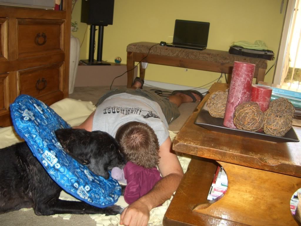 mollyhurt003_8b89d152aff3c038ace9ca479400789852703dbc.jpg