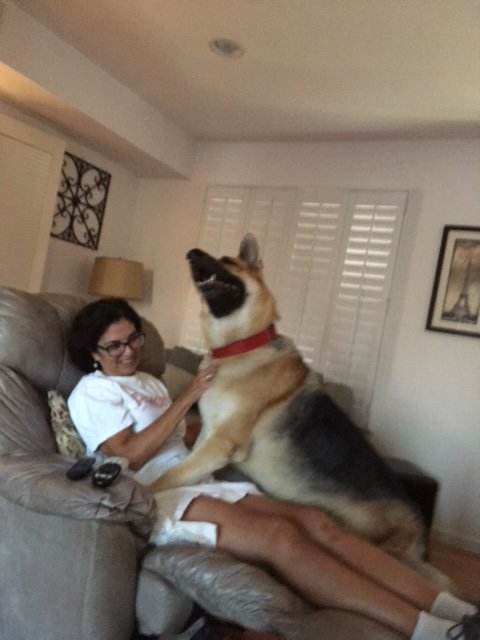 Momma's boy.jpg
