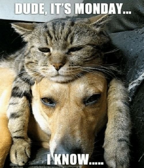 Mondaysm5.jpg