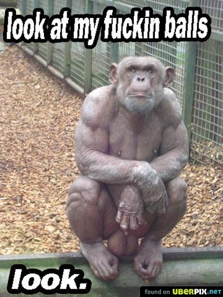 Monkey+Balls.jpg