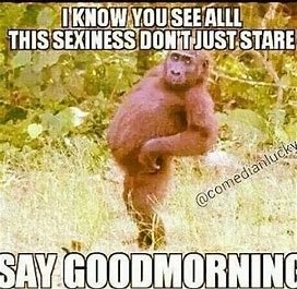 monkey.jpg