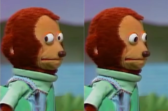 MONKEY.jpg