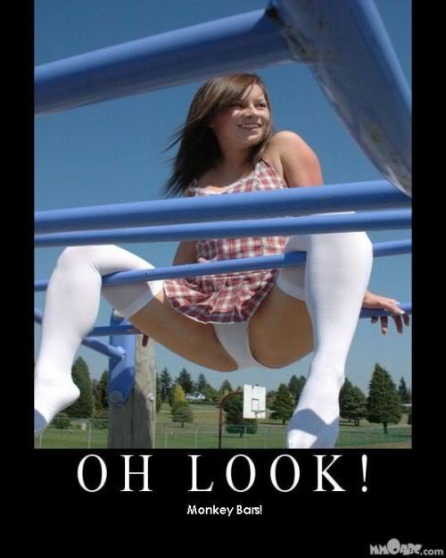 monkeybars_781e009cb45a0085eed198844c82bbb9b09a0161.jpg