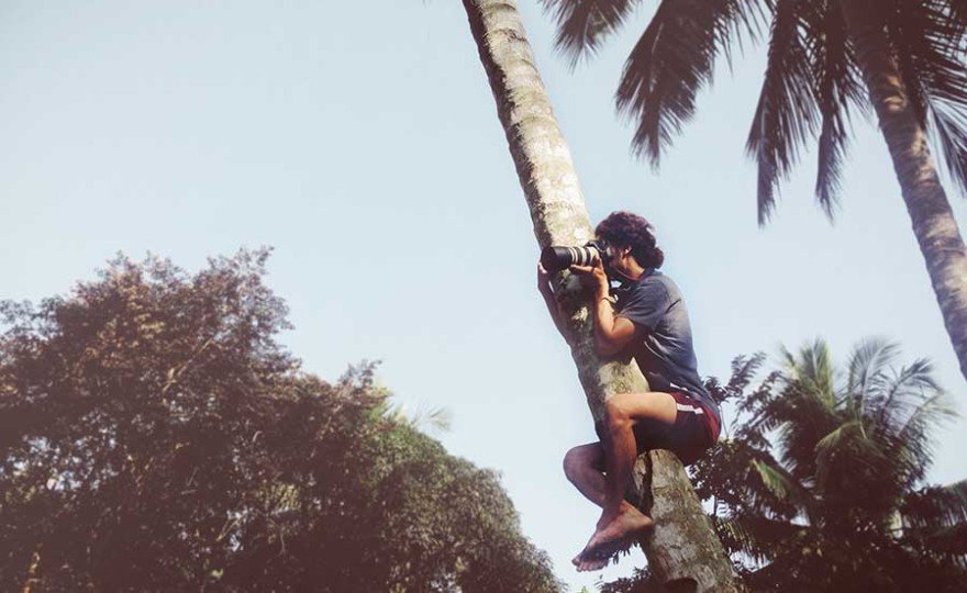 monkeygabygetstheshot-880x540.jpg