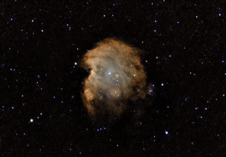 Monkeyhead 1567 subs Hubble Palette.jpg