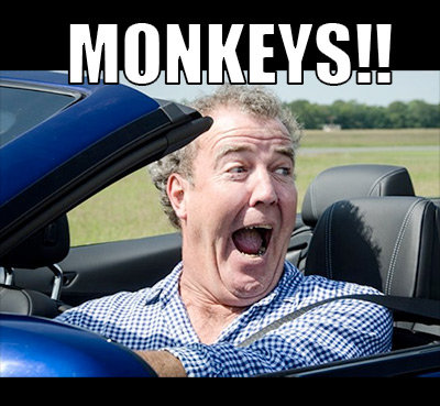 monkeys-1.jpg