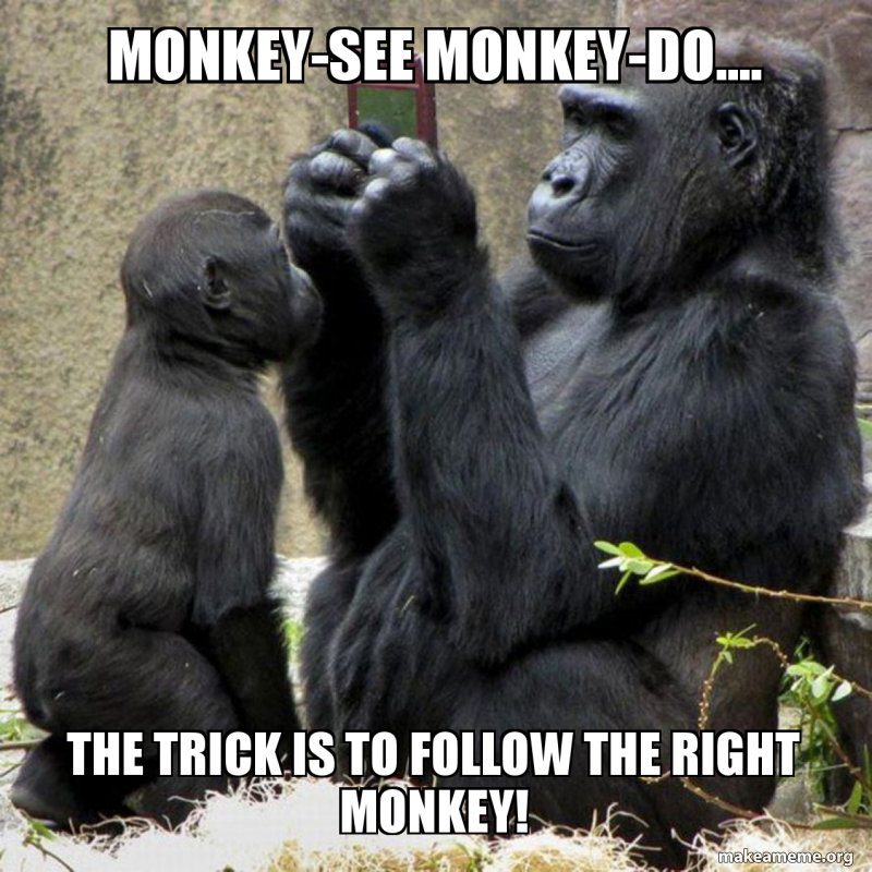 monkeysee-monkeydo-the.jpg