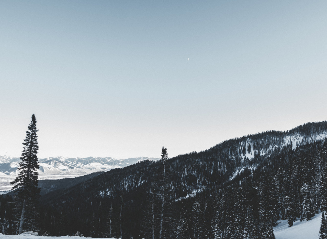montana.jpg
