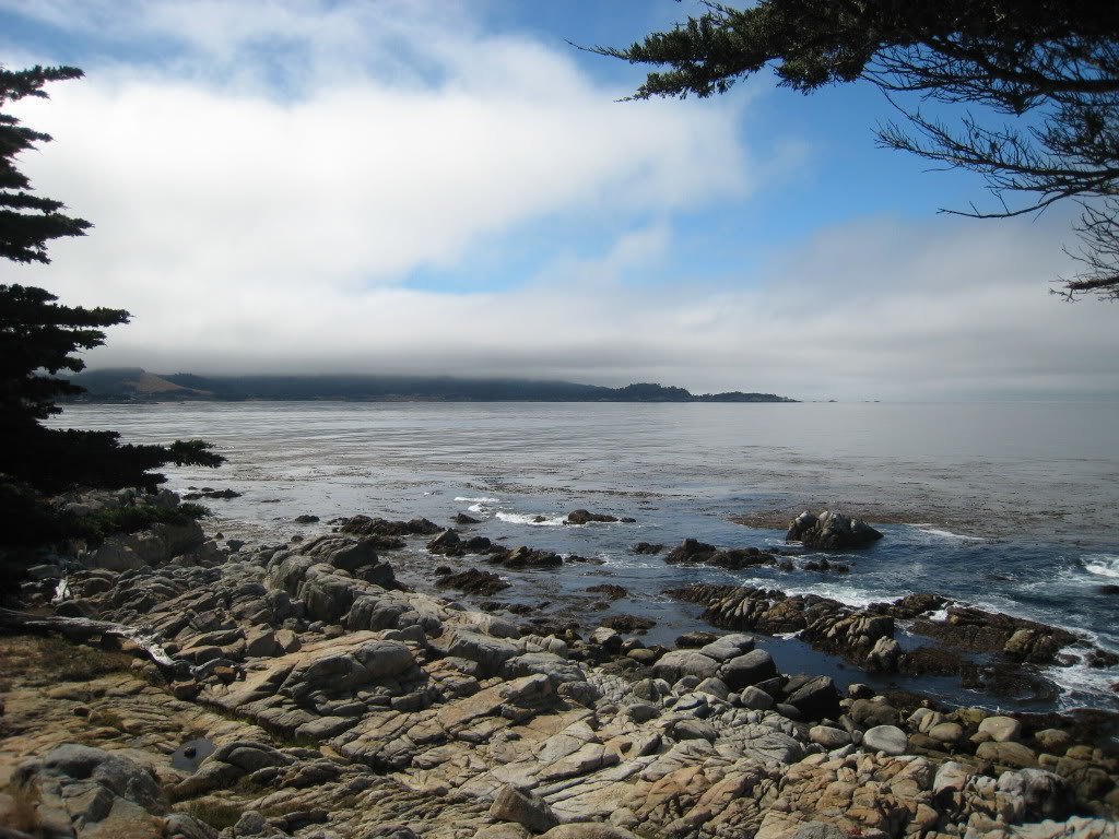MontereyTrip1012-1_f20ccf28bd4a253ac6755d1302ca3c921e345c85.jpg