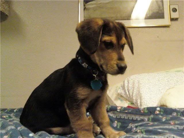 monty_e5bb7696793d01cce4629cf2d060591dce42c89b.jpg