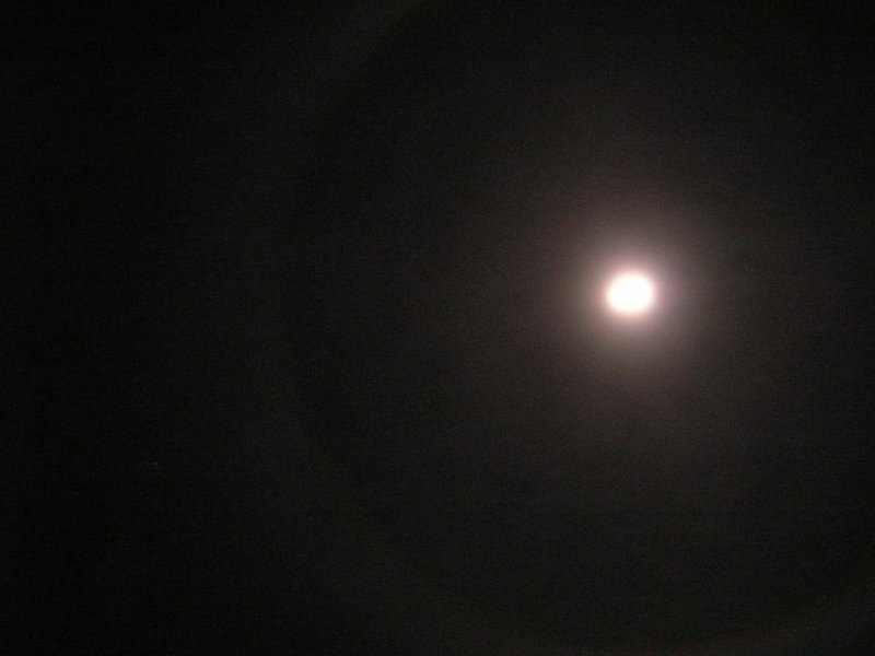 moon 008.jpg