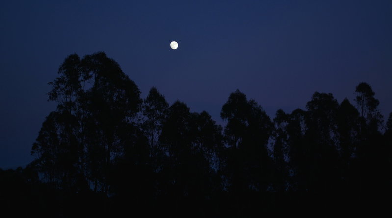 moon.jpg