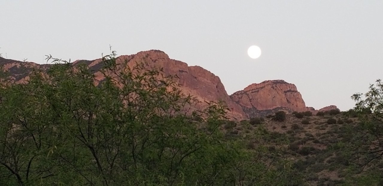 moon1.jpg