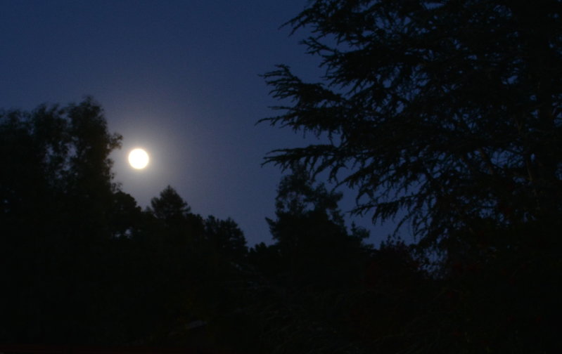 moon3.jpg