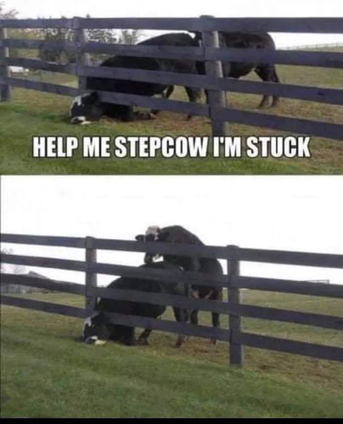 Mooo-moo-mooooo.jpg