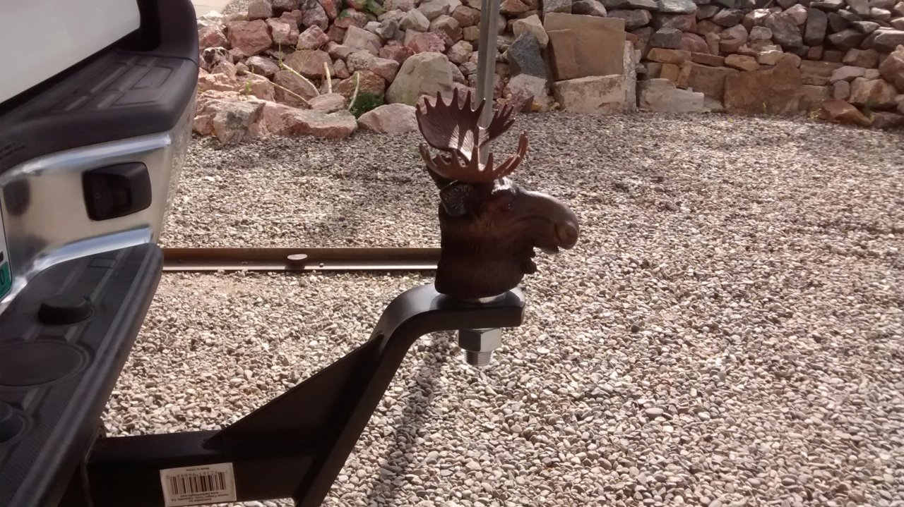 moose - 20190817_101220851.jpg