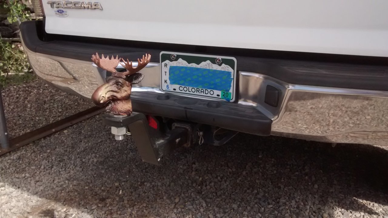moose - 20190817_104000044.jpg