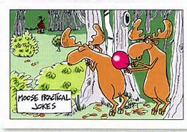 Moose 4.jpg