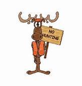 Moose.jpg