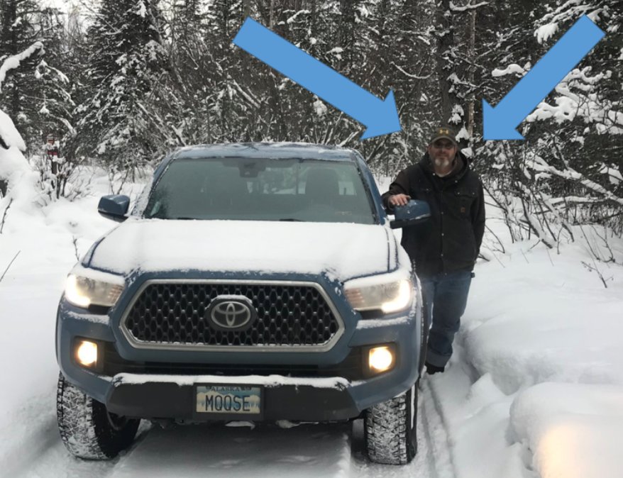 moose.png