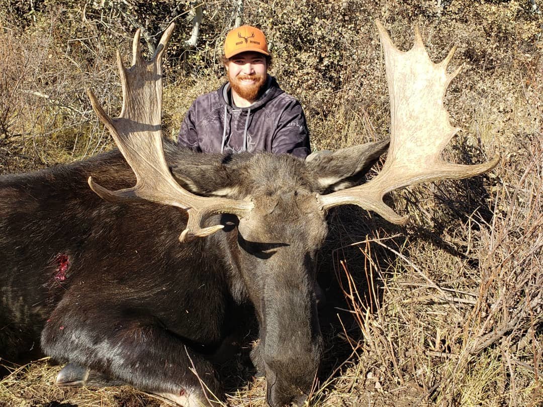 moose post pic.jpg