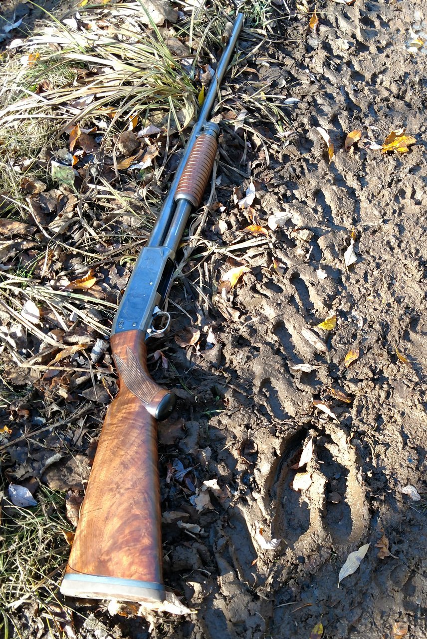 Moose Tracks M37.jpg