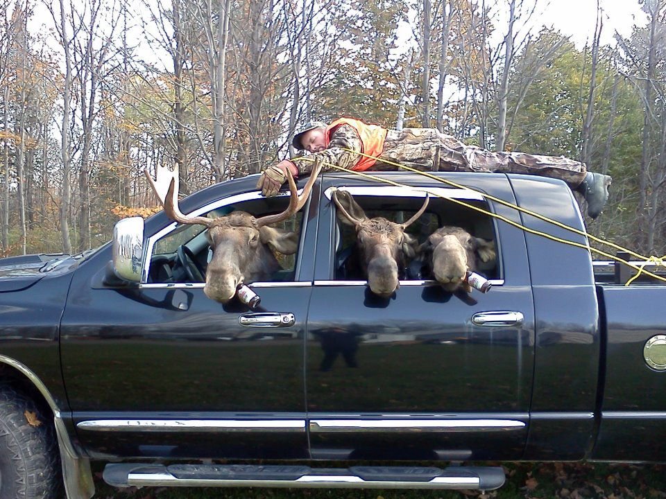 Moose Troublemakers.jpg