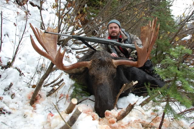 moose1_727a465f0b684317f57fd87cbc451f0dba8fa134.jpg