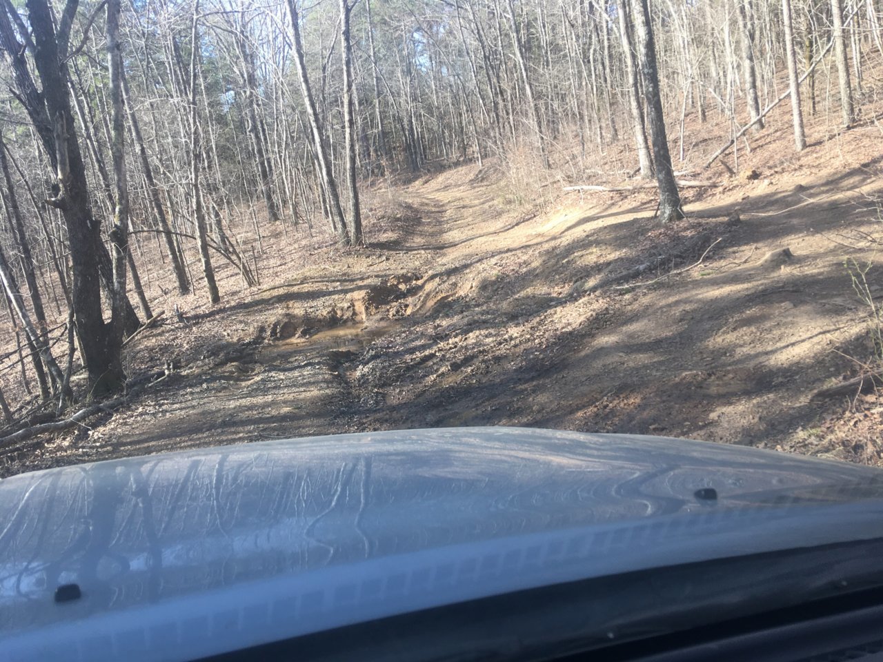 more mud holes.jpg