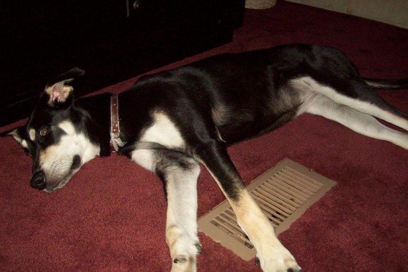 more of Sybil and misc 004.jpg